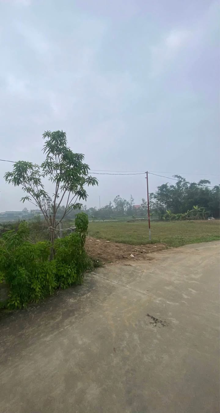 Đất Nghi Thái 105m² giá 1.45 tỷ - Lô góc 2 mặt tiền, gần chợ Lò Vôi!