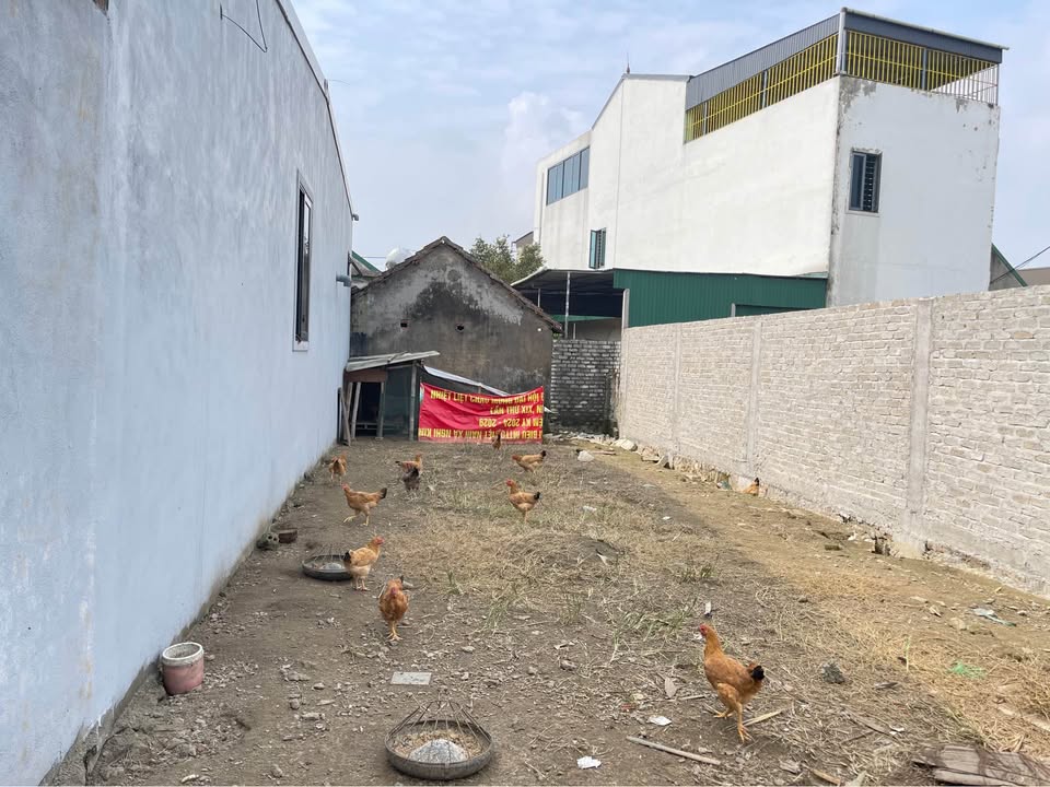 Đất nền Nghi Kim 96.9m² giá 1 tỷ - Cơ hội đầu tư tuyệt vời!