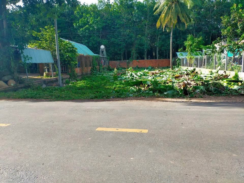 Đất mặt tiền đường DT796 Châu Thành Tây Ninh 224m² giá 709 triệu - Cơ hội đầu tư sinh lời!