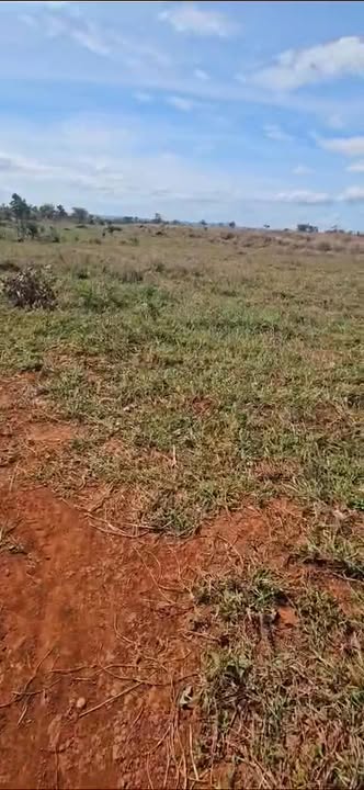 Đất nông nghiệp 23ha tại Đak Trôi, Mang Yang, Gia Lai - Giá chỉ 1 tỷ/ha!