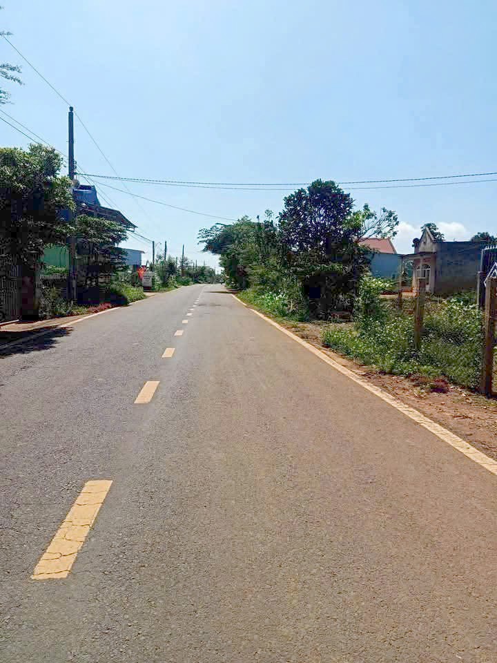 Đất nền Tân Hội, Đức Trọng 420m² giá 1.85 tỷ - Sổ đỏ chính chủ, vị trí đẹp!