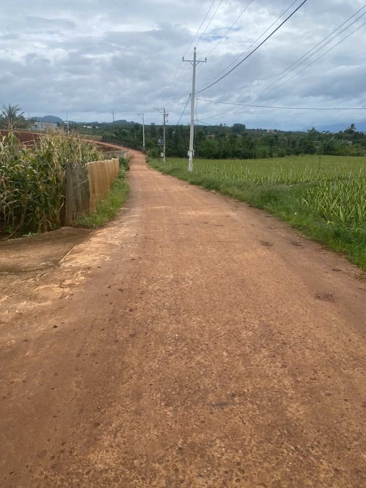 Đất nền phân lô 10.772m² tại Tân Hội, Đức Trọng - Tiềm năng đầu tư lớn!