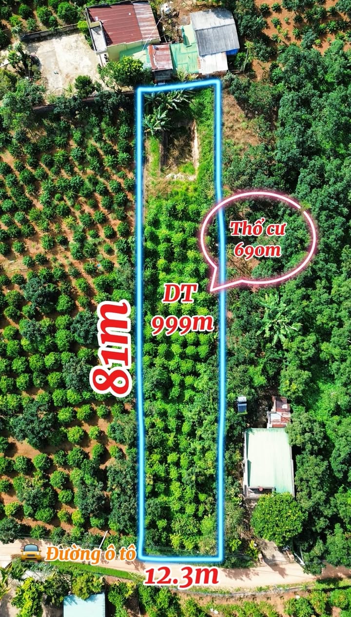 Đất Mê Linh Nam Ban Lâm Hà 999m² giá 2.9 tỷ - Tiềm năng nghỉ dưỡng lý tưởng!