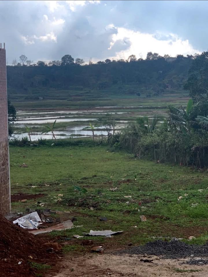 Đất hẻm 230 Nguyễn Chí Thanh, P. Hội Phú, 140m² giá 800 triệu - Đầu tư sinh lời ngay!