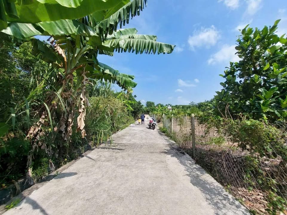 Đất vườn 1 sào tại Bảo Vinh, Long Khánh giá 1.05 tỷ - Đầu tư sinh lời ngay!