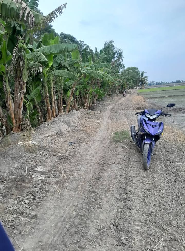 Đất nông nghiệp 30 công tại Vọng Thê, Thoại Sơn An Giang - Giá 3.75 tỷ - Cơ hội đầu tư hấp dẫn!