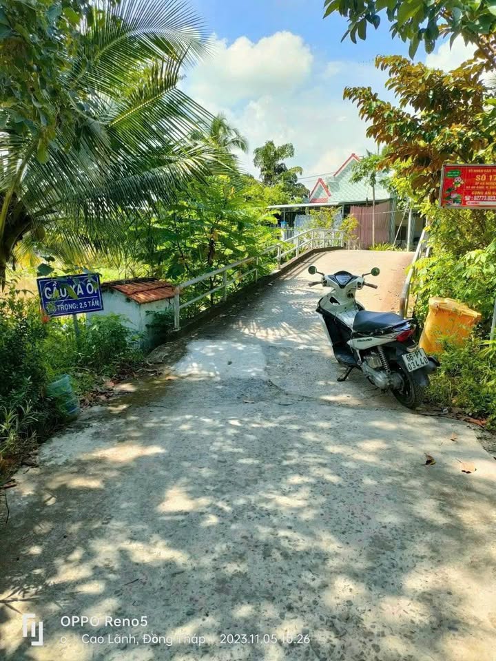 Đất nền đầu tư tại Mỹ Trà, Đồng Tháp 2.900m² giá 1.6 tỷ - Tiềm năng sinh lời cao!