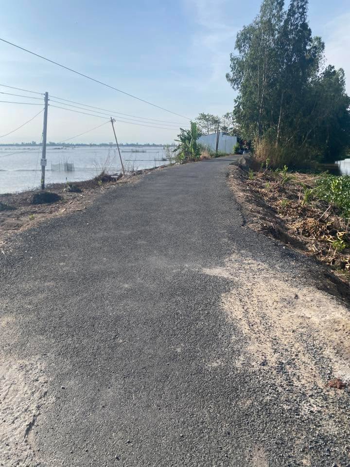 Bán đất vườn xã Phong Mỹ, huyện Cao Lãnh, 6900m² - Giá chỉ 250 triệu VND!