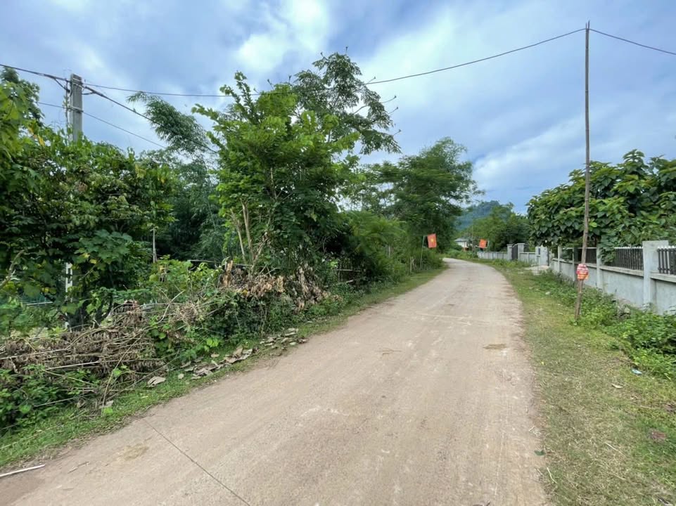 Đất thổ cư 200m² Phú Vinh, Tân Lạc - Giá chỉ 500 triệu - Đầu tư sinh lời ngay!