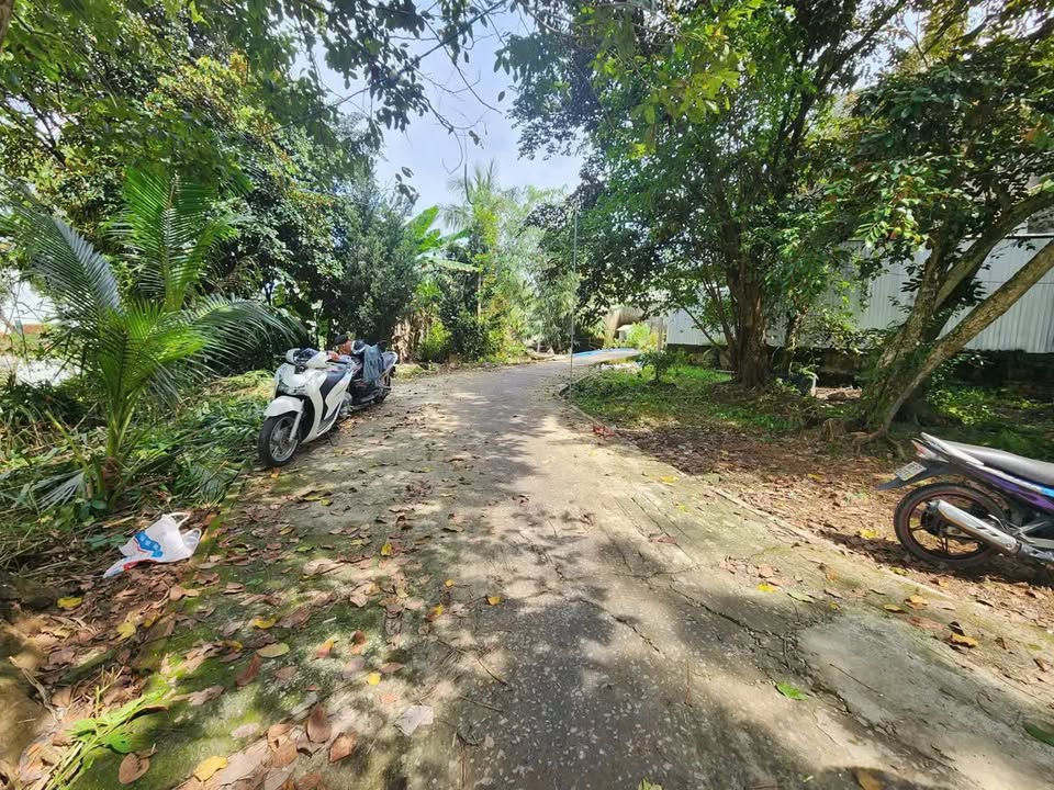 Đất nền thổ cư Phong Điền 80m² giá 300 triệu - Pháp lý đầy đủ, đầu tư sinh lời!