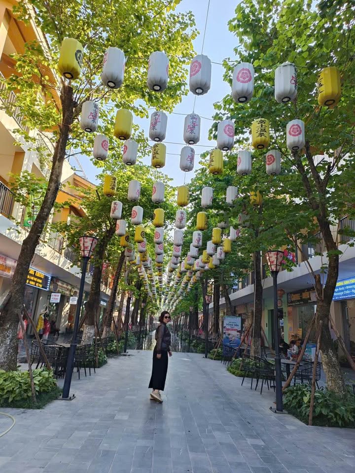 Nhà phố KĐT Kỳ Bá Thái Bình 70m² giá 7 tỷ - Vị trí vàng kinh doanh đa năng!