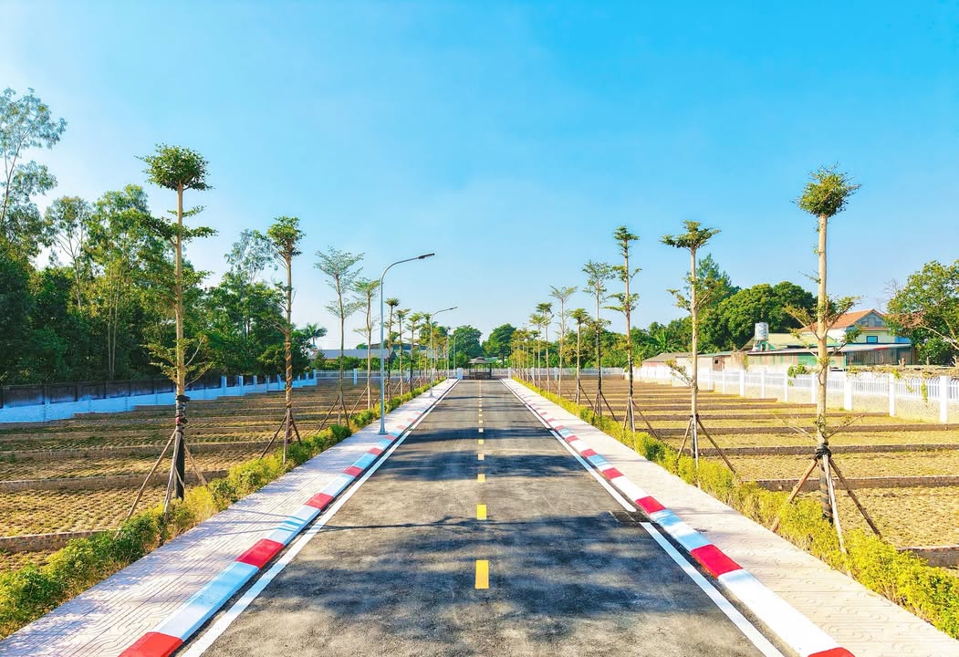 Đất nền dự án Phú Ninh Sóc Sơn 124m² giá 2 tỷ - Vị trí tiềm năng sinh lời!