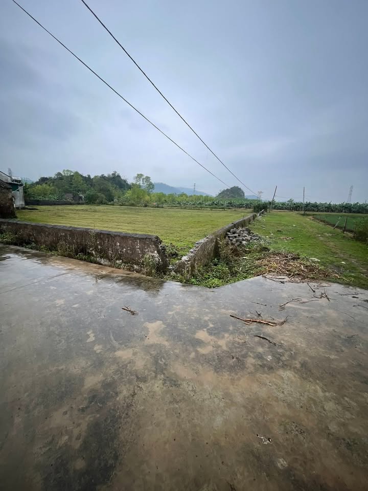 Đất nền Đô Lương 1080m² giá thỏa thuận - Đầu tư sinh lời ngay!