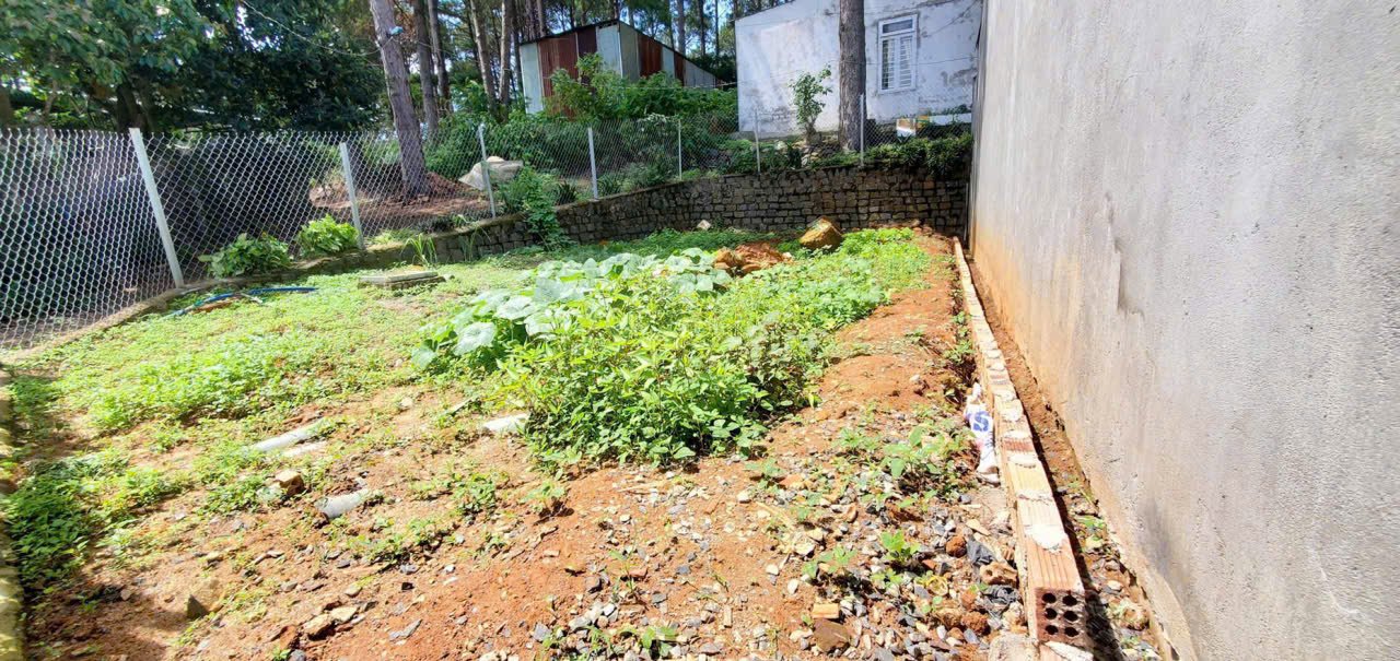 Nhà vườn cấp 4 Hiệp Thạnh - Đức Trọng 190m² giá 2.4 tỷ - Không gian xanh mát mẻ!