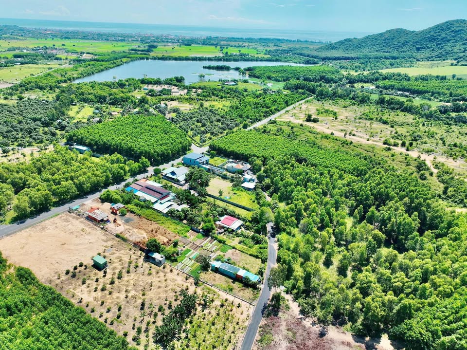 Đất nền thương mại xã Phước Hải - 615m² giá 1.6 tỷ - Tiềm năng kinh doanh homestay