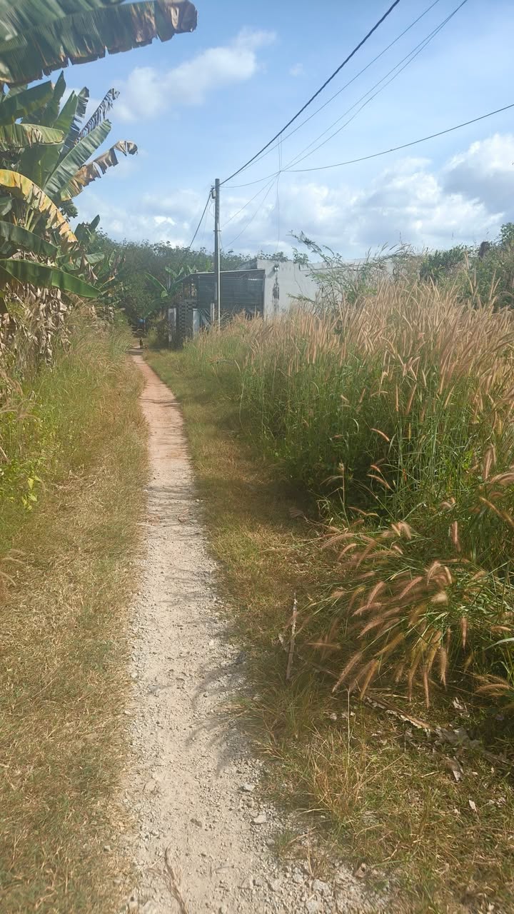 Đất thổ cư Lai Uyên Bàu Bàng 480m² giá chỉ 1.8 tỷ - Cần bán gấp!