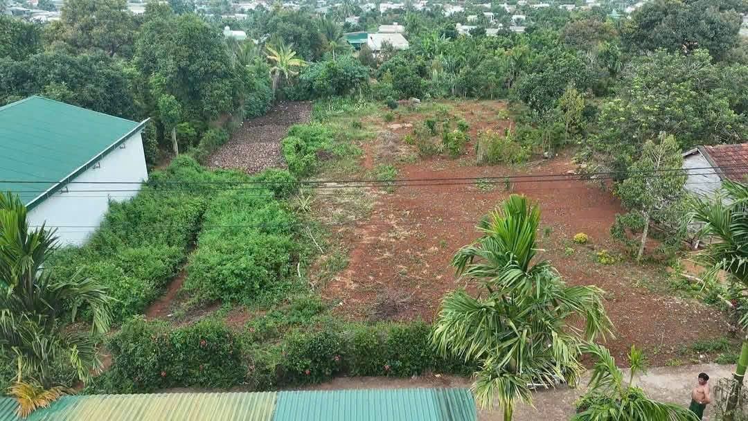 Đất thổ cư xã Hòa Tiến, huyện Krông Pắc, 336m² – Giá chỉ 13 triệu/m²!