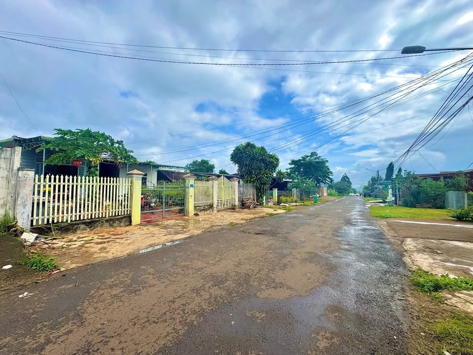 Đất Chính Chủ 360m² Đường Lê Lợi, Thị Trấn Phước An - Vị Trí Kinh Doanh Đắc Địa!