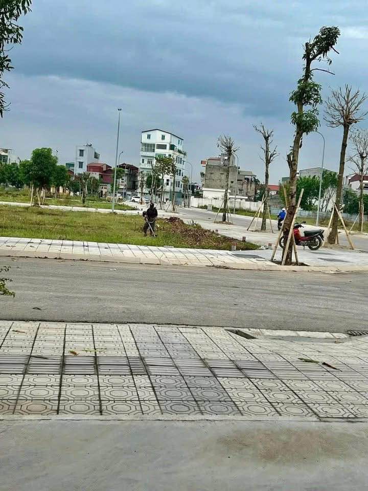 Đất nền Khu đô thị Trái Bầu, Hải Dương 87m² giá 5x triệu/m² - Sổ đỏ chính chủ, đầu tư sinh lời!