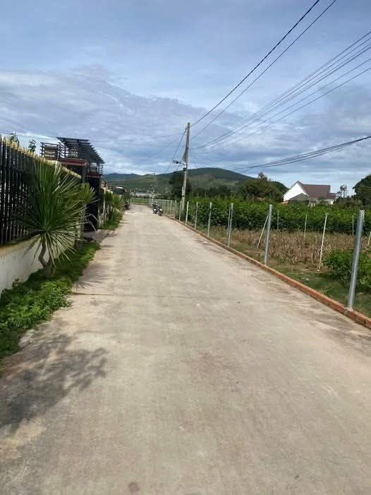 Đất nền Hiệp Thạnh 1080m² giá 5.5 tỷ - Tiềm năng đầu tư lớn!