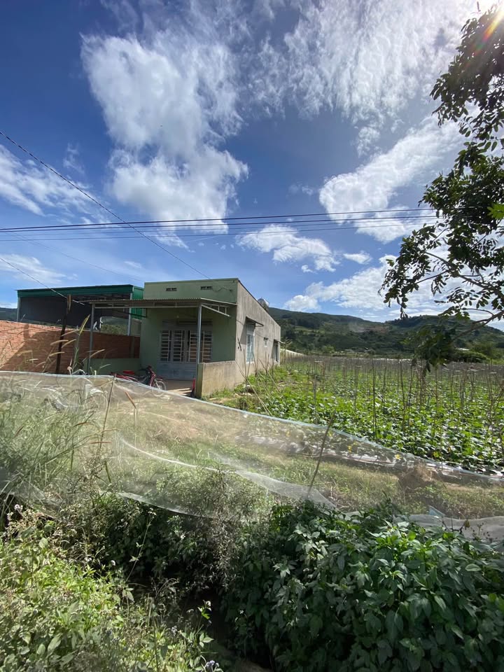 Đất nền Hiệp Thạnh, Đức Trọng 2111m² giá 6 tỷ - Đường rộng chờ thảm nhựa!