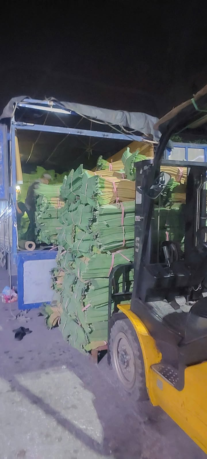 Đất nền Hợp Tiến, xã Mai Phụ, 178m² giá 7xx triệu - Đầu tư sinh lời ngay!