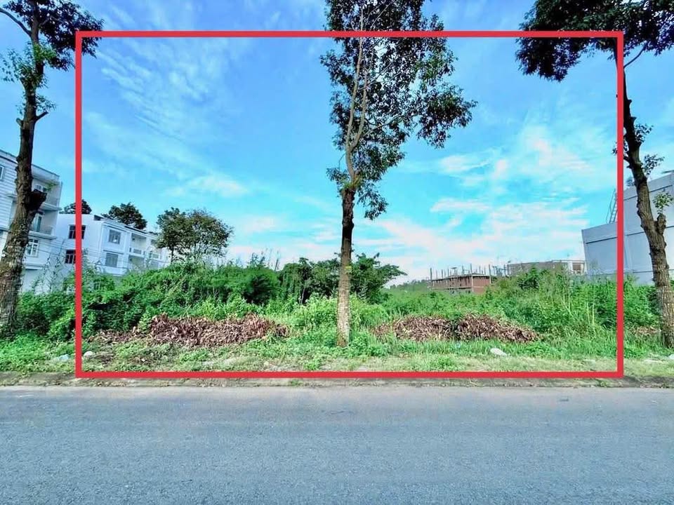 Cặp nền 220m² mặt tiền đường Phượng Hoàng - KDC Hoàng Quân - Giá chỉ 3.26 tỷ!