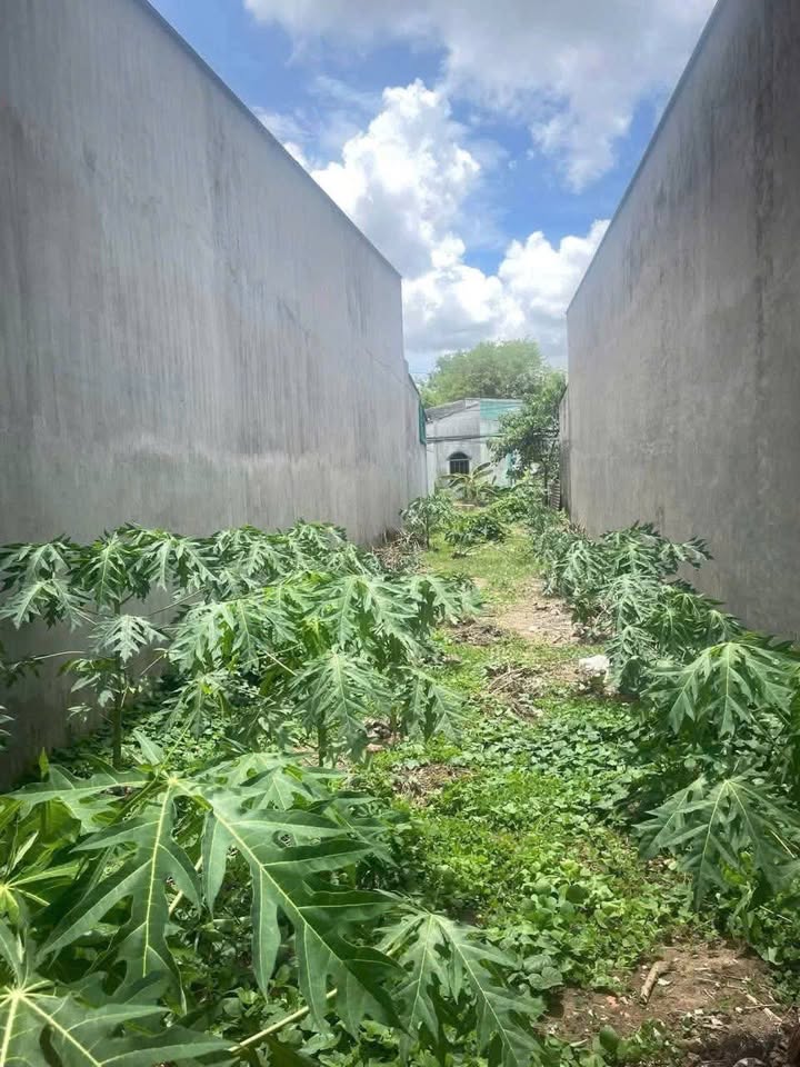 Đất nền hẻm 179 Đoàn Thị Điểm, Sóc Trăng 68m² giá 690 triệu - Đầu tư sinh lời hấp dẫn!