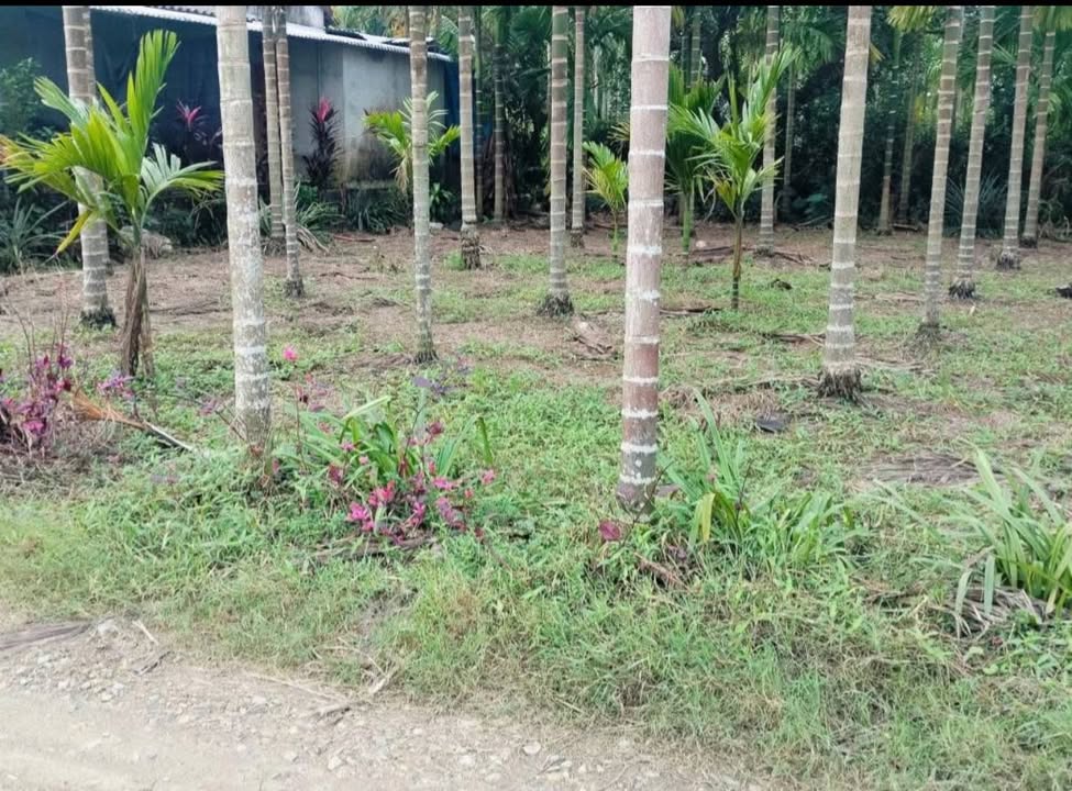 Đất vườn Hành Đức, Nghĩa Hành 470m² giá 500 triệu - Pháp lý rõ ràng, tiện ích đầy đủ!