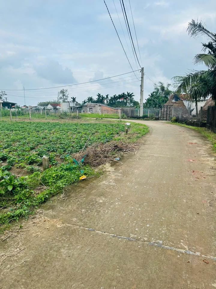 Đất thổ cư Mỏ Cày, Mộ Đức 126m² - Vị trí đắc địa gần tỉnh lộ 627B!