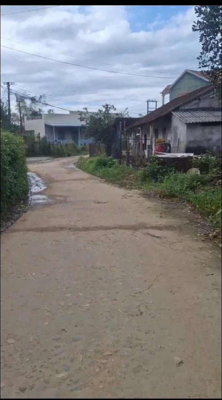 Lô vườn mini tại xã Bình An, Quảng Ngãi 800m² giá 600 triệu - Tặng nhà cấp 4 và vườn cây ăn quả!