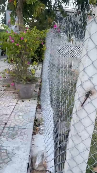 Lô góc FrontHouse đường Huỳnh Thúc Kháng Cẩm Hà 259m² giá chỉ 7 tỷ - Cơ hội đầu tư hấp dẫn!