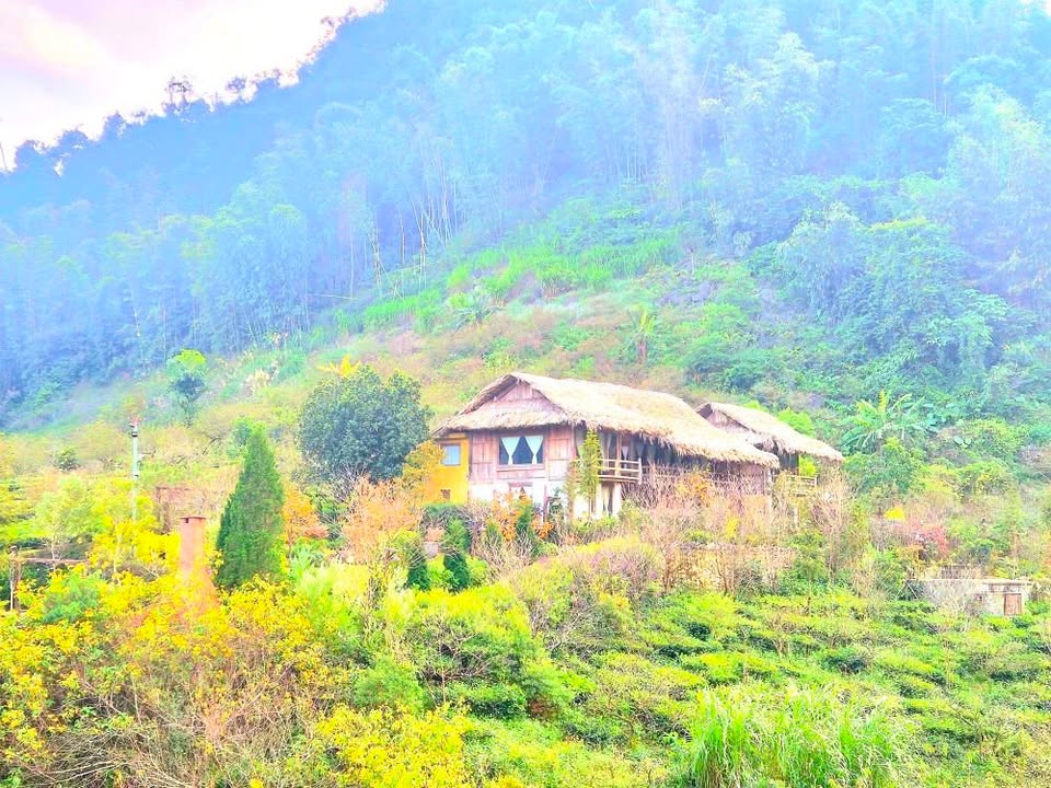 Đất thổ cư Mộc Châu 200m² giá chỉ 1.2 tỷ - Cơ hội đầu tư tuyệt vời!