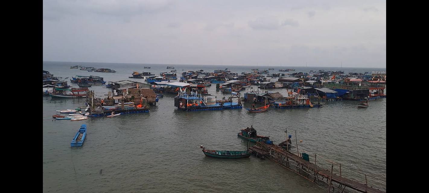 Đất nền Bãi Bấc Hòn Sơn 3.149m² giá đầu tư - Sẵn sàng cho dự án du lịch!