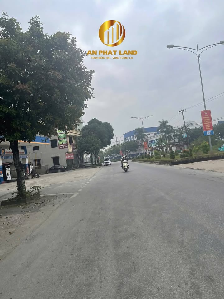 Đất nhà vườn Ninh Bình 300m² giá 24 tỷ - Địa điểm kinh doanh lý tưởng!