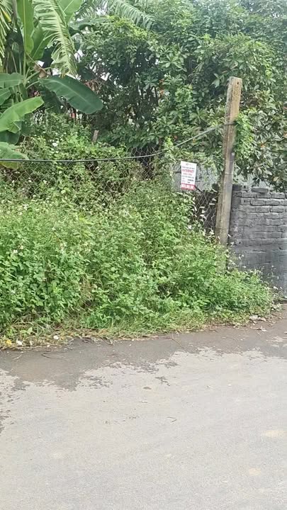 Đất thổ cư Miễu 2 Khánh An 330m² - Pháp lý rõ ràng, giá thỏa thuận!