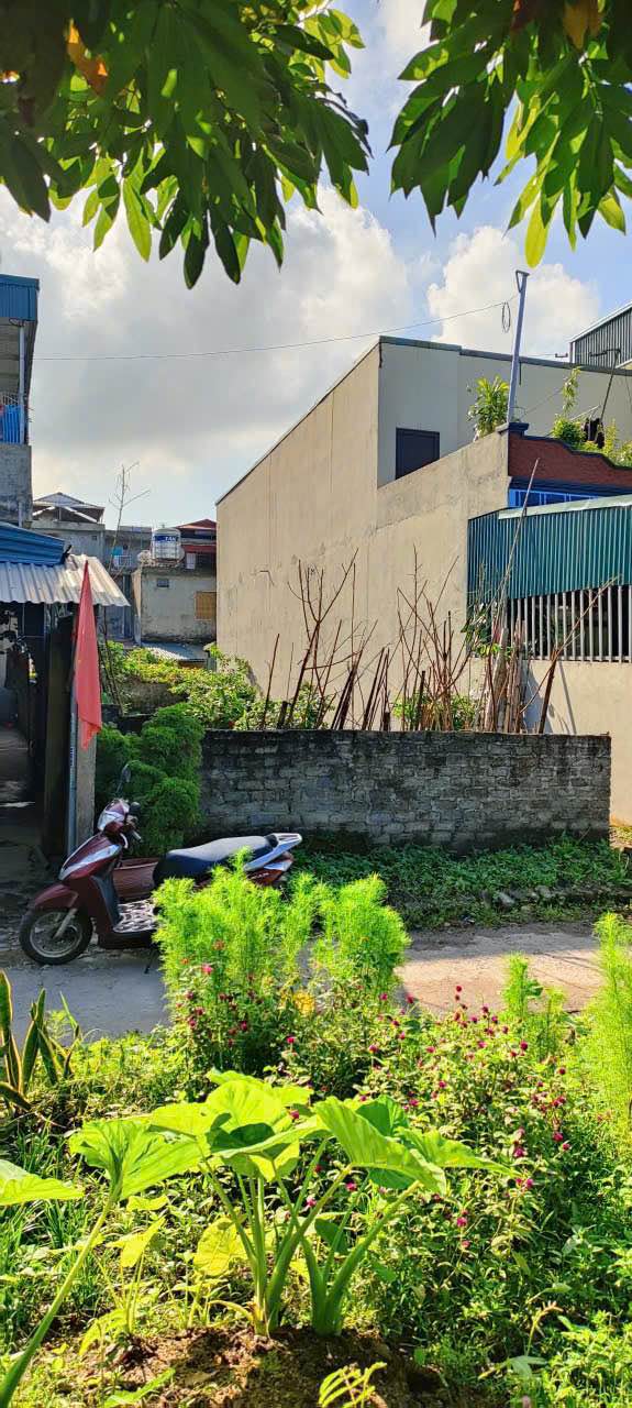 Đất nền Bắc Sơn, Uông Bí 120m² giá chỉ 700 triệu - Sổ hồng chính chủ