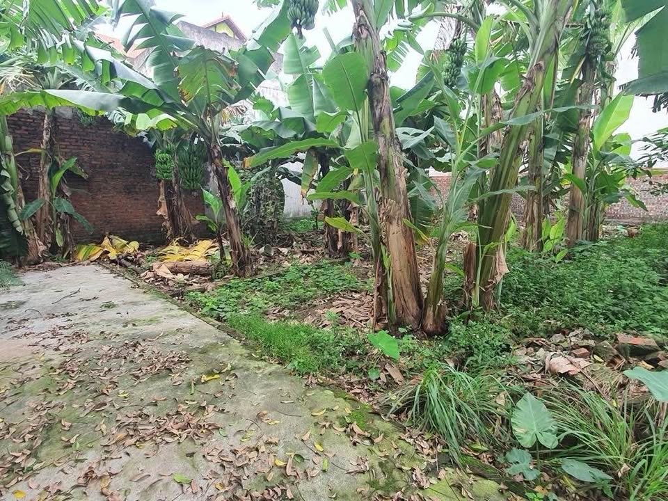 Đất nền Lệ Chi Gia Lâm 42m² giá chỉ 2 tỷ - Đầu tư sinh lời ngay!