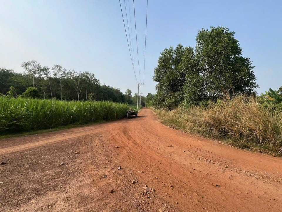 Đất Phước Hòa, Phú Giáo 9.257m² giá 16.5 tỷ - Chủ trương sản xuất viên nén