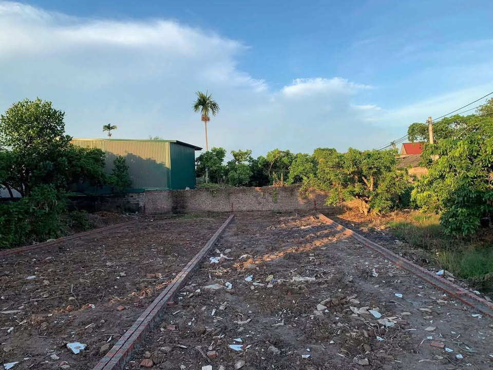 Đất thổ cư 102m² Thanh Lang giá chỉ 400 triệu - Nhanh tay sở hữu!