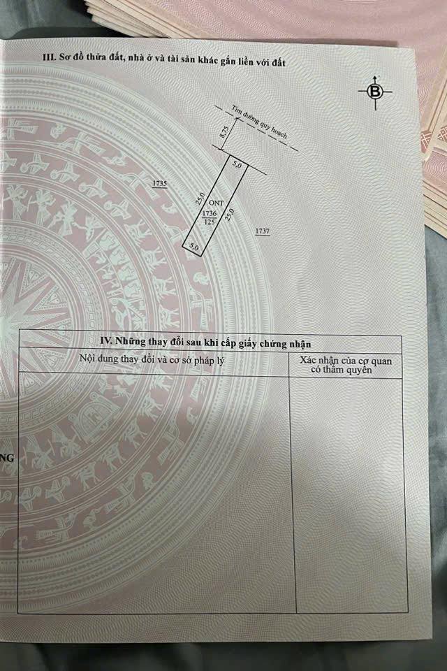 Đất nền Quảng Trạch 125m² giá 1.1 tỷ - Đầu tư sinh lời cao!