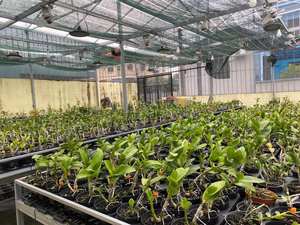 Nhà cấp 4 Quảng Cát 190m² giá 1 tỷ - Cần bán gấp, tiện ích đầy đủ!