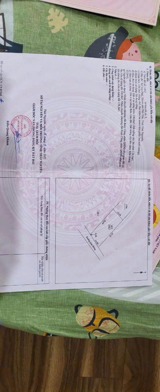 Đất nền Vạn Phái Phổ Yên 238m² giá chỉ 700 triệu - Tiềm năng tăng giá mạnh!