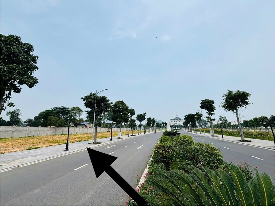 Đất nền đô thị Danko City Thái Nguyên 105,5m² - Đầu tư sinh lời ngay!