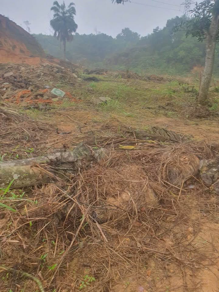 Đất trang trại 7000m² tại xã Vô Tranh - Đầu tư sinh lời ngay!