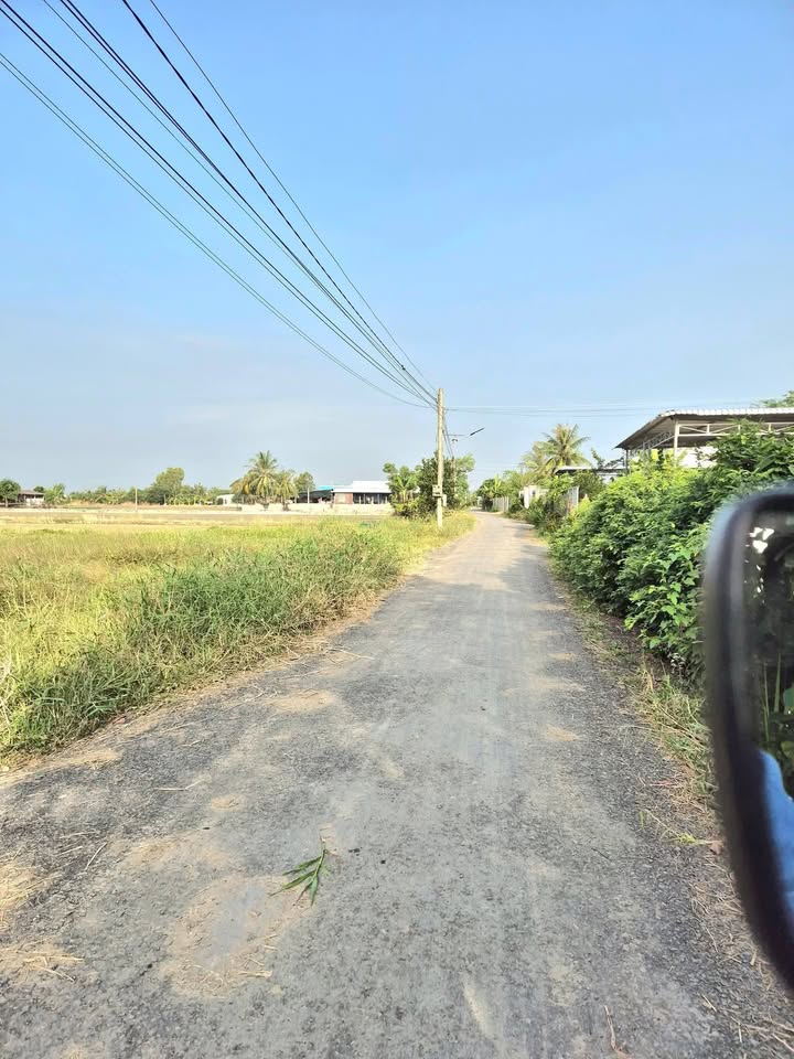 Đất nền chính chủ khu phố 1, Bình Xuân, Gò Công 500m² - Giá chỉ 500 triệu thương lượng!