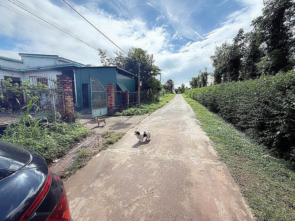 Đất nền góc 2 mặt tiền Ea Kao 563m² giá 1.75 tỷ - Cơ hội đầu tư tuyệt vời!