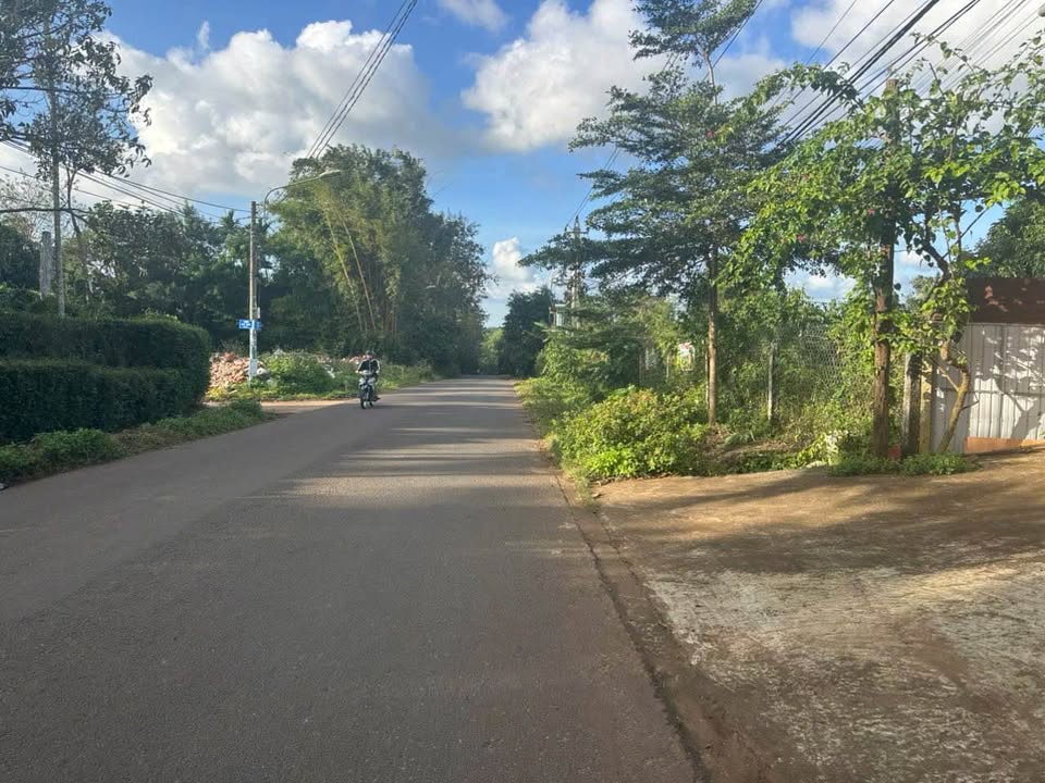 Đất mặt tiền đường 1A, xã Hòa Thuận, 300m² giá 3 tỷ - Kinh doanh thuận lợi!