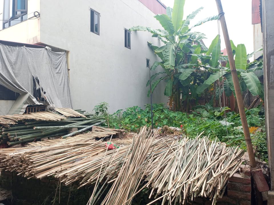 Đất Thụy Lâm, Đông Anh 91m² giá 4.368 tỷ - Phong thủy tốt, ô tô vào tận đất!