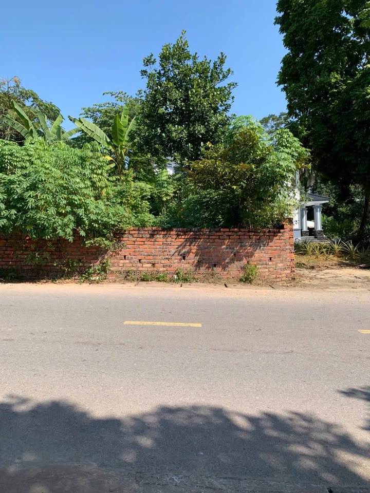 Đất thổ cư 100m² tại Hy Cương, Việt Trì - Chỉ 1.6 tỷ, đầu tư sinh lời!